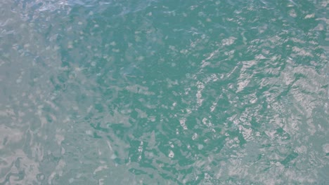 Aerial-View-Of-Jellyfish-Bloom-Floating-Under-The-Sea-In-New-South-Wales,-Australia