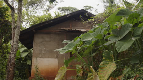 cabaña básica y vivienda en el bosque en un país africano pobre de bajos ingresos