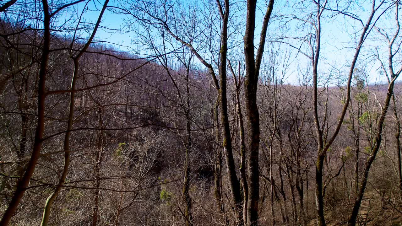 헝가리 szalajka-völgy 국립 공원의 동굴에서 숲으로 이동