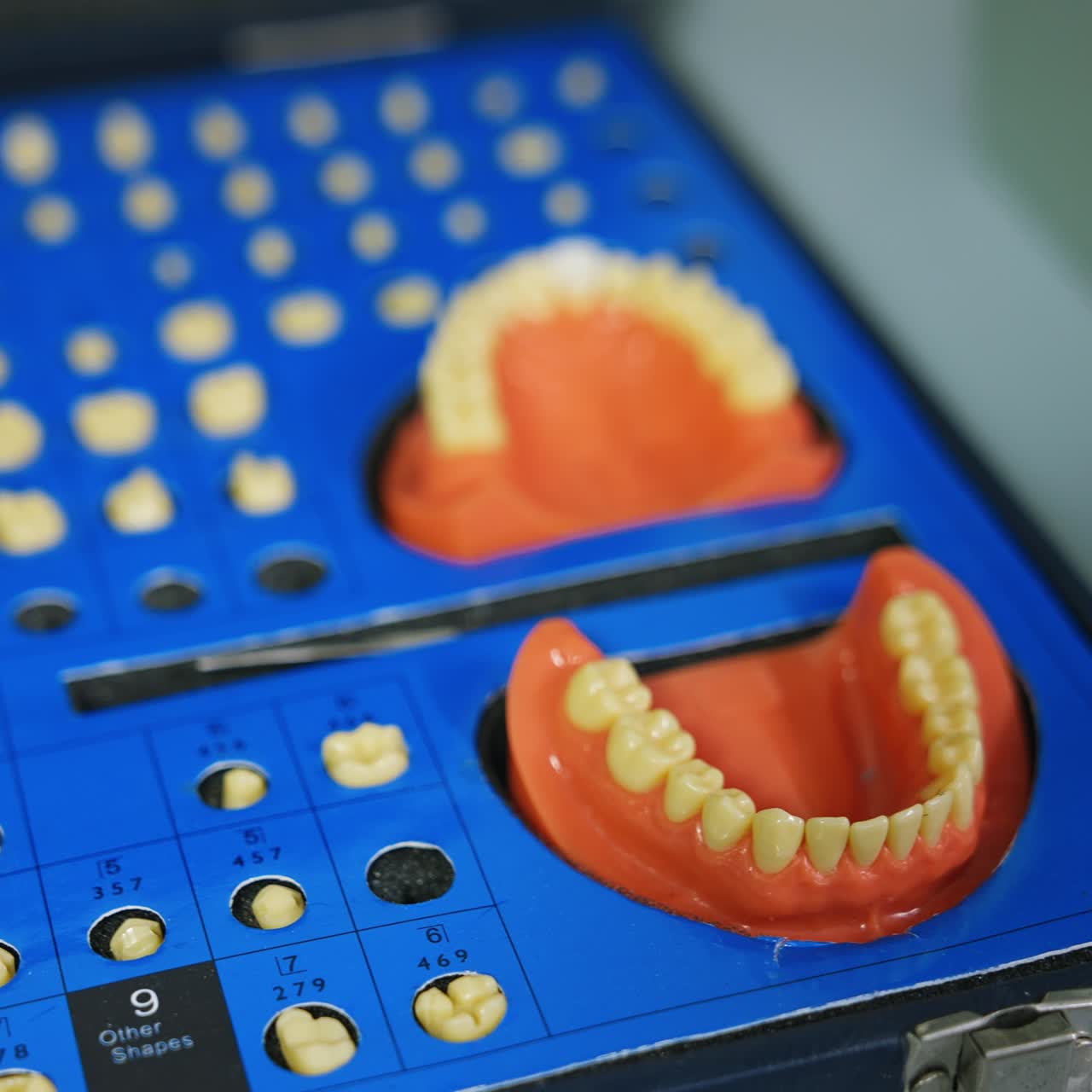 Dentistry materials and samples. A set of diverse teeth and two dentures close up