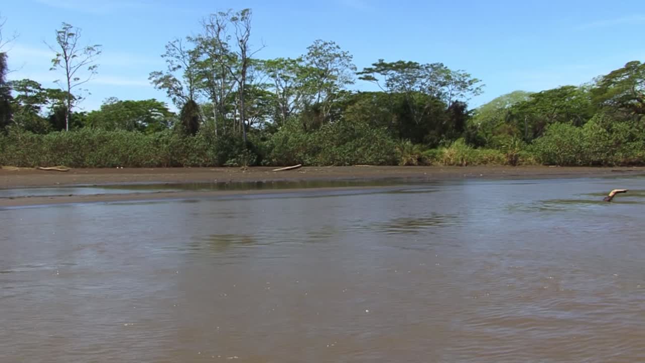 rio tarcoles en costa rica