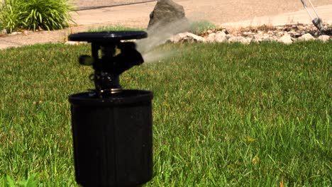 warm tones in this summer lawn care clip