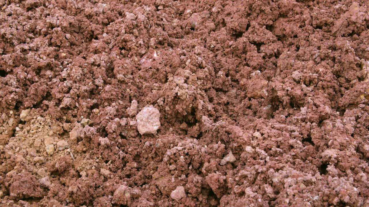 A detailed examination of soil composition to enhance agricultural practices and crop yield