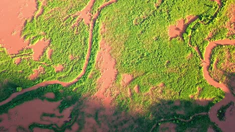 unique landscape of lake natron in tanzania, africa