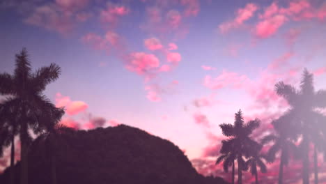 paisaje tropical con montañas y palmeras al atardecer