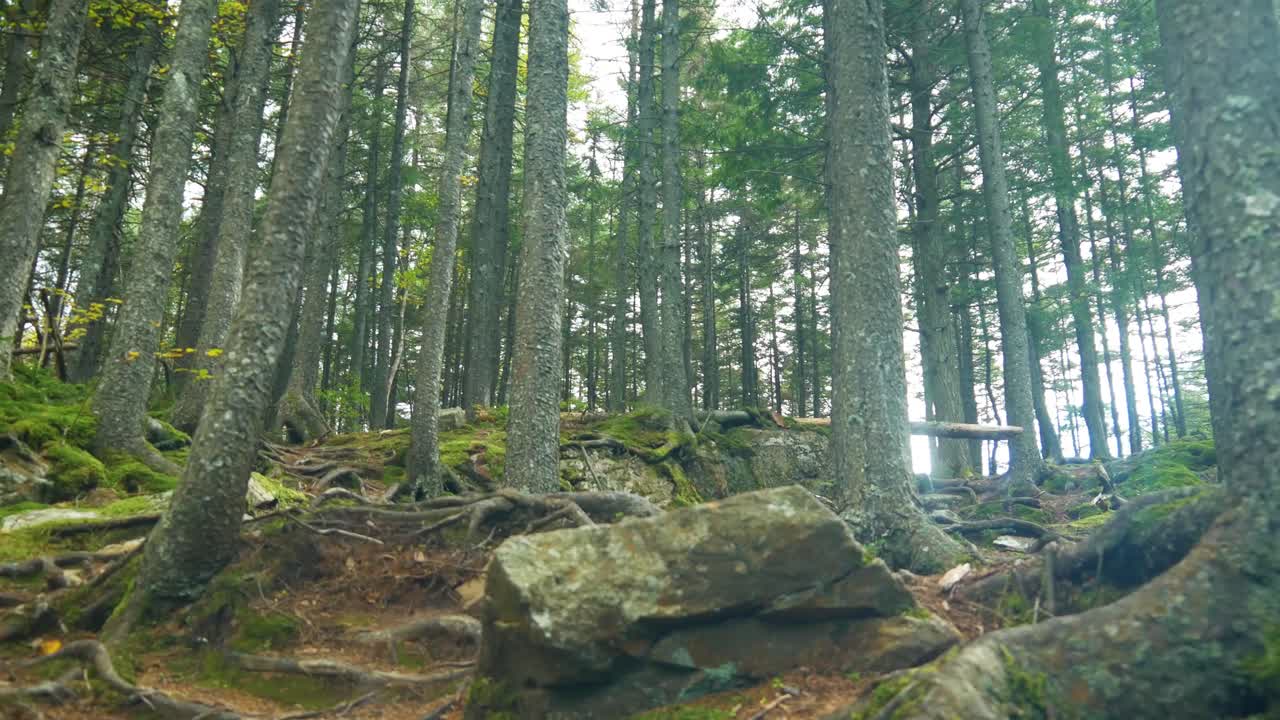 Shot in beautiful New Hampshire in 4K