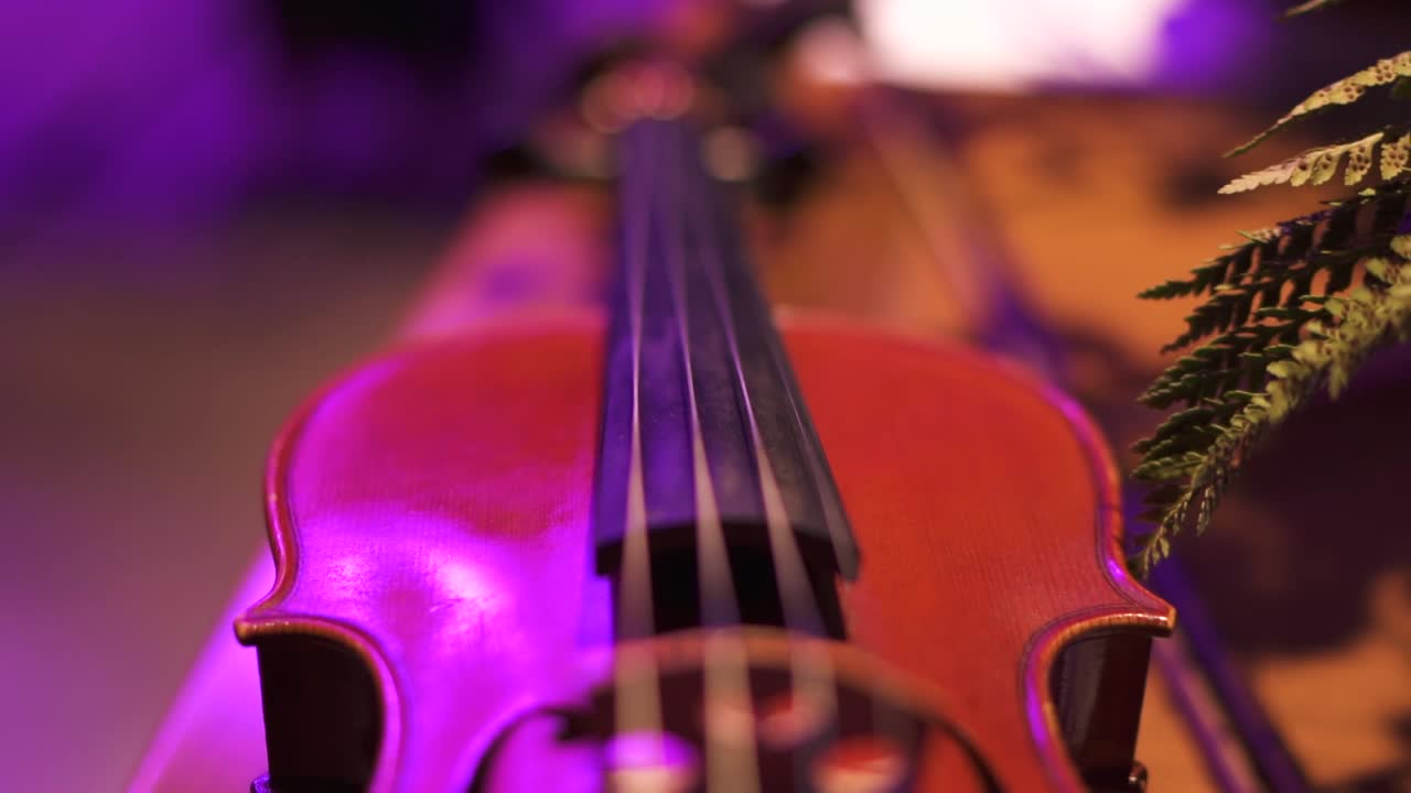 primer plano de las partes de un violín, cuerdas, puente, afinadores y bridas