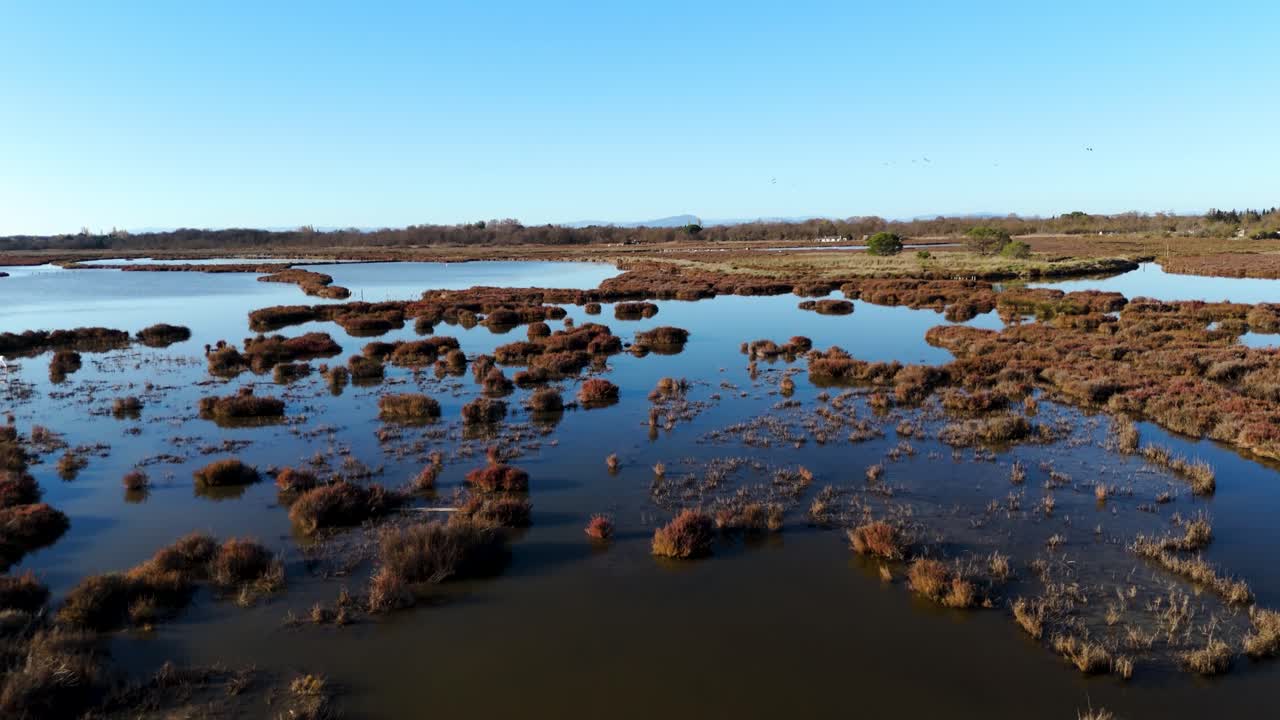 Aerial view of tranquil wetland landscape in France with vibrant marsh vegetation and reflective water pools, evoking peace and natural harmony.