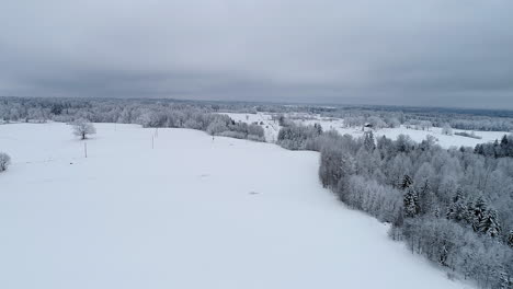 Luftdrohne,-Die-Sich-An-Einem-Bewölkten-Tag-über-Eine-Weiße,-Schneebedeckte-Landschaft-Mit-Nadelbäumen-Vorwärts-Bewegt