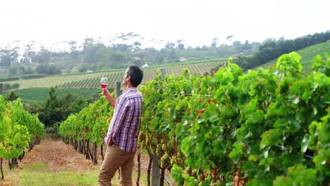 hombre de pie con un vaso de vino rojo en el campo