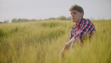 man sitting in a wheat field