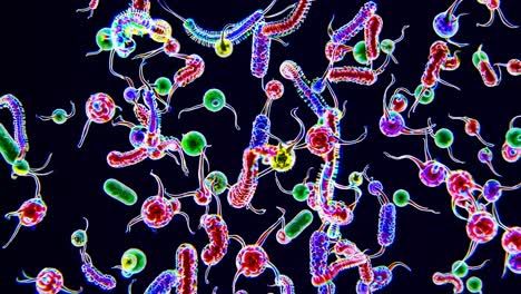 colorful microscopic view of bacteria, shot from above