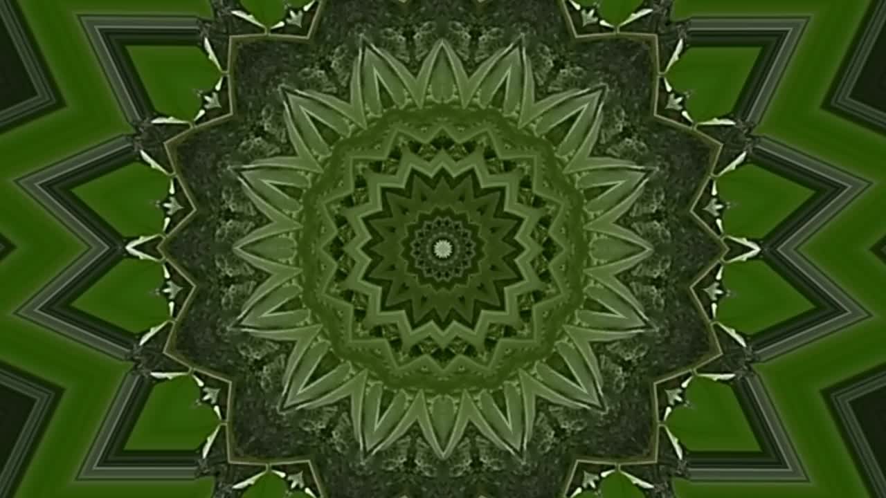 아름다운 비디오는 꽃, 녹색 배경을 형성하기 위해 움직임을 조절하는 녹색을 박인다