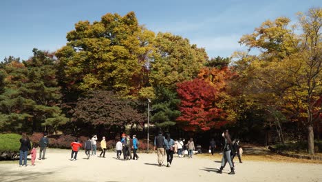 people in protective face masks walking in changgyeonggung palace park in seoul