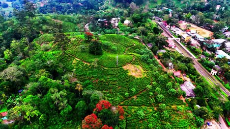 A vivid aerial showcases Sri Lanka’s tea plantation hills, with layered green terraces, scattered red trees, winding paths, and clusters of rural houses nestled into the lush tropical slopes.