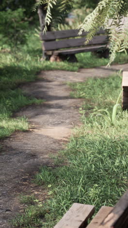 peaceful park path with benches