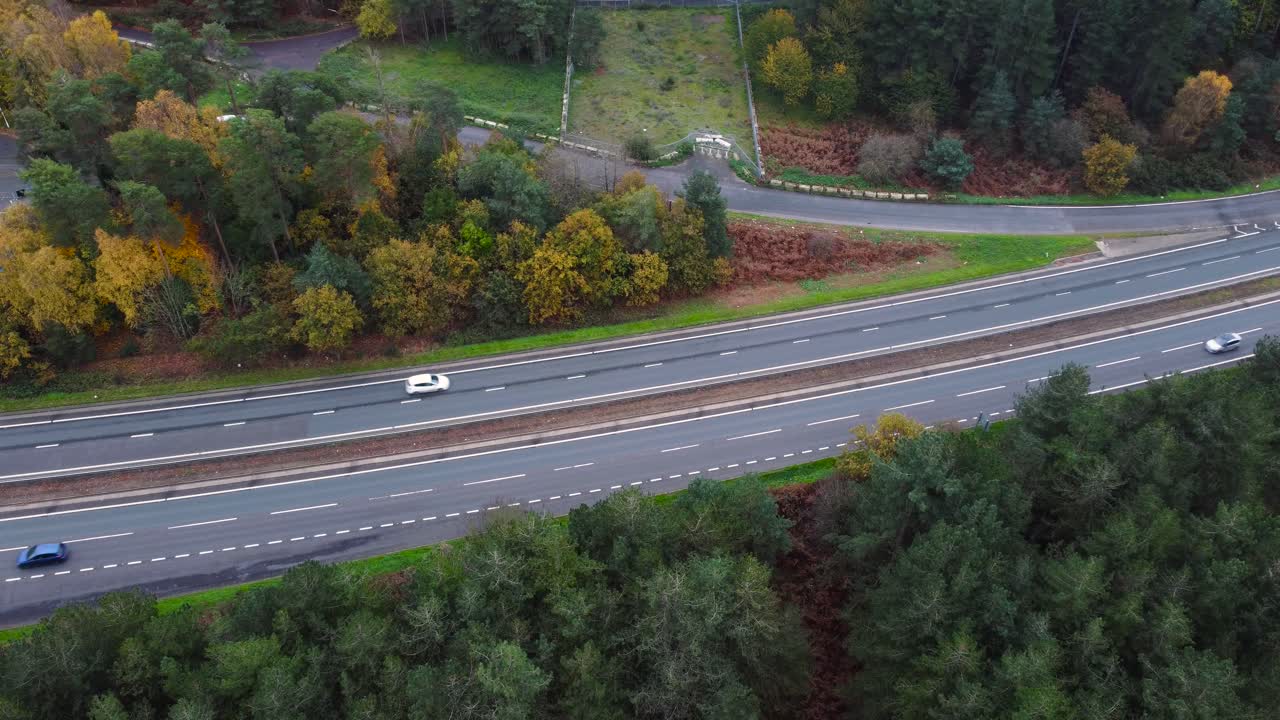 thetford forrest por carretera a través de los árboles.