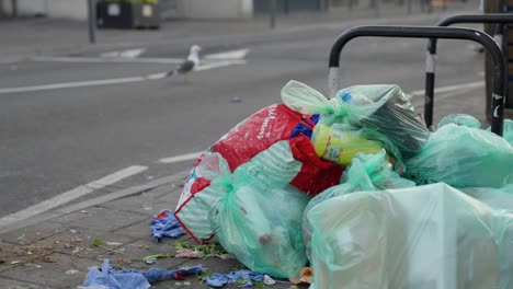 medium shot of garbage on a street in cardiff