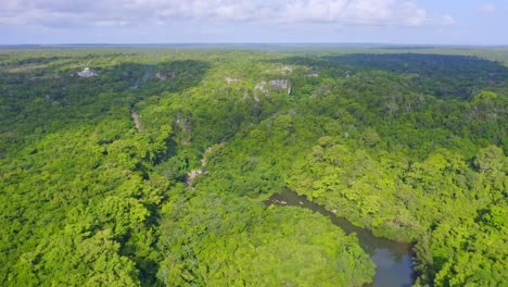 aerial flight over lush forest landscape and river yuma during sunlight on dominican republic