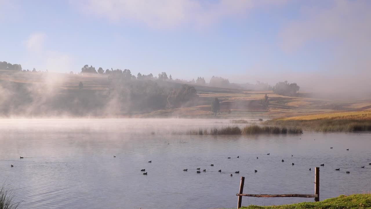 멀리 떨어진 평야인 쿠스코가 있는 성스러운 계곡에서 아침에 수영하고 먹이를 주는 물새들로 가득 찬 호수 위로 안개가 흐르고 있습니다.