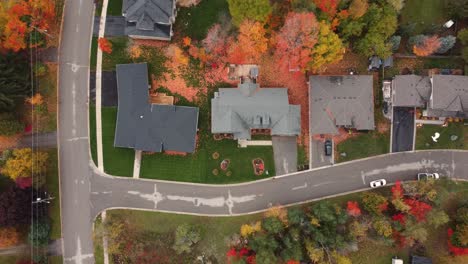 Aerial-top-view-over-a-suburban-town-surrounded-by-colorful-autumnal-trees,-with-yellow,-red-and-orange-foliage