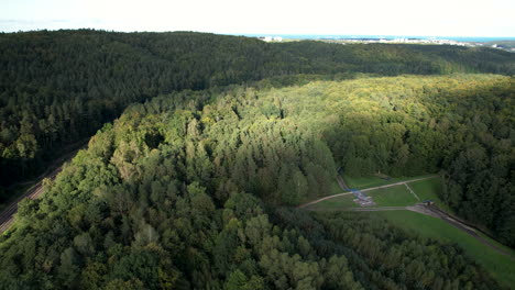 Picknickplatz-Mit-Damm,-Umgeben-Von-Dichtem-Baumdickicht-In-Gdynia,-Polen