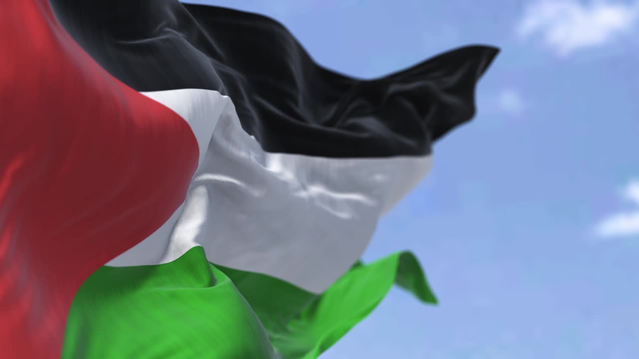 은 날 바람에 흔들리는 팔레스타인 국기 상세한 모습