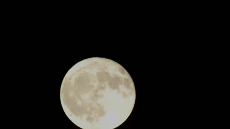 Time-lapse-of-full-moon-rising-through-a-tree-in-Oak-View-California