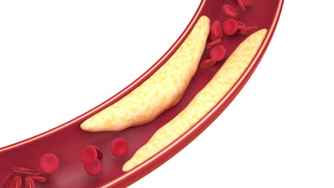 fat and cells in blood vessels, 3d rendering.