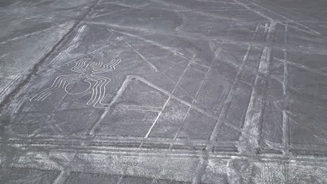 mysterious nazca lines, aerial shot of the spider in nazca, peru