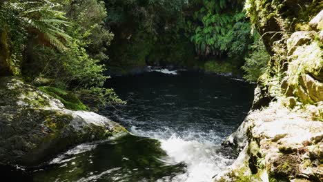 River-flowing-into-natural-lake-surrounded-by-dense-rainforest-of-Whirinaki-National-park