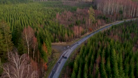 Aerial-of-person-walking-on-a-road-in-a-forest-lighting-a-yellow-smoke-grenade