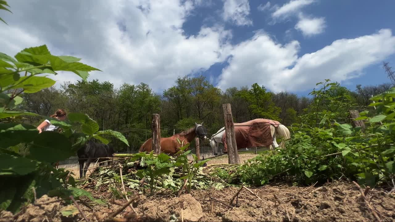 Jovem garota atravessando a cena segurando um cavalo ao ar livre.
