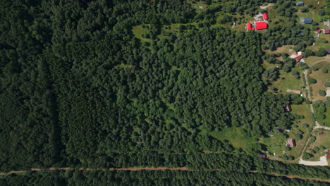 aerial view of forest and rural area with buildings