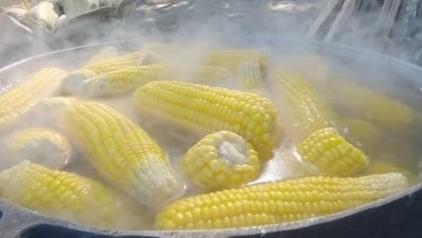 Gran-Caldero-Con-Varios-Maíz-Cocinado-En-Agua-Y-Hirviendo-En-El-Campo-De-Jarabacoa,-República-Dominicana