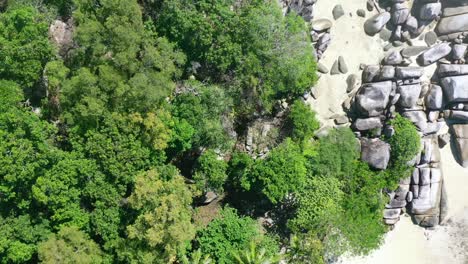 Antena-De-Arriba-Hacia-Abajo-De-La-Selva-Tropical-Y-La-Playa-De-Arena-Blanca-En-Belitung-Indonesia