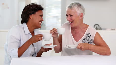 Dos-Mujeres-Maduras-Cotilleando-Durante-El-Té-De-La-Tarde