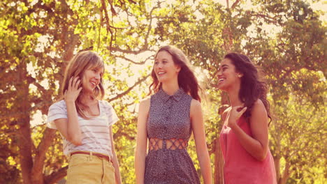 happy female friends talking and laughing together in the park