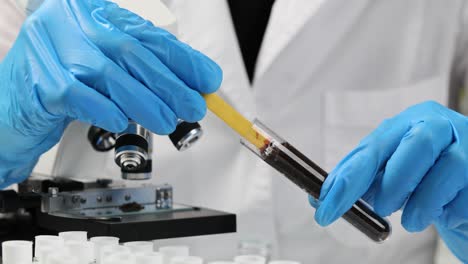 scientist conducting soil analysis in a laboratory