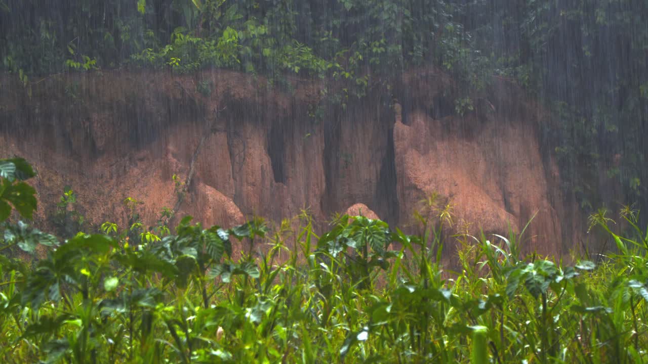 폭우가 울창한 아마존 열대 우림을 고, 울창한 폭우로 밀집한 나무들을 가로질러 떨어집니다.