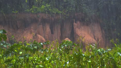torrential rain drenches the lush amazon rainforest, cascading through dense trees in a vibrant downpour