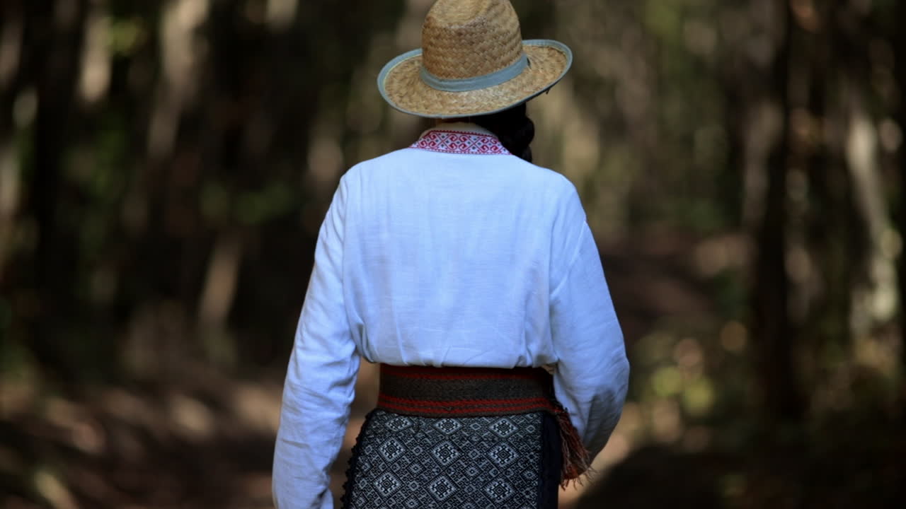 Romanian girl walks through the forest and admires nature 2