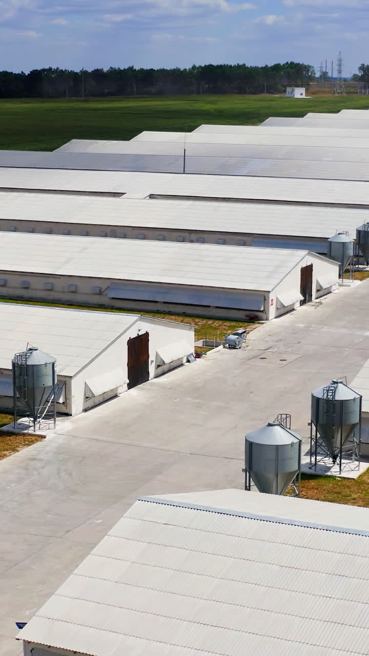 Storehouses in rural area. Warehouses for poultry growing. Countryside industry. Rural place. Farming facilities. Vertical video