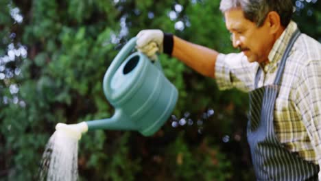 senior man watering plants with watering can in garden