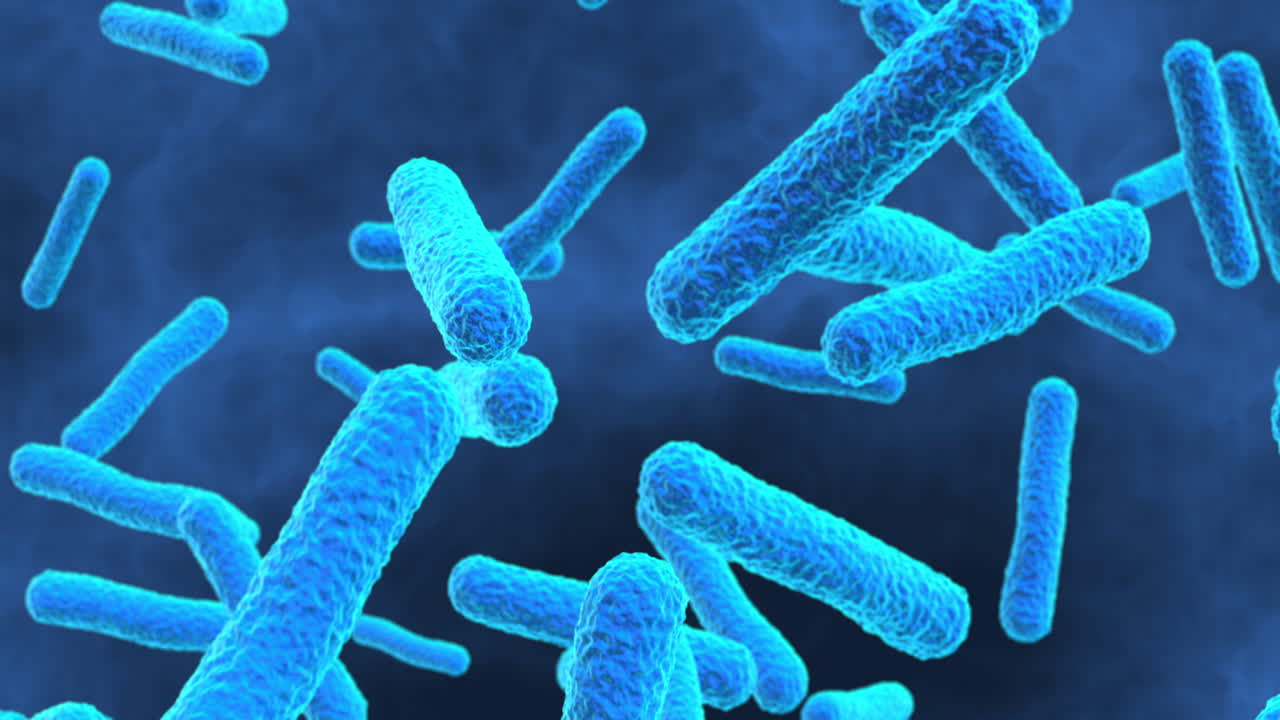 Bacterial Microorganisms