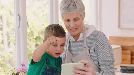 Phone,-video-call-and-grandmother