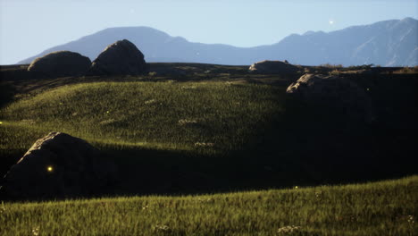 beautiful sunset over grassy hills