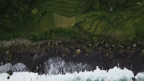 an exotic, cinematic aerial view. rice terraces and crashing waves crashing against the cliffs. located on pangsan beach, pacitan regency, east java, indonesia