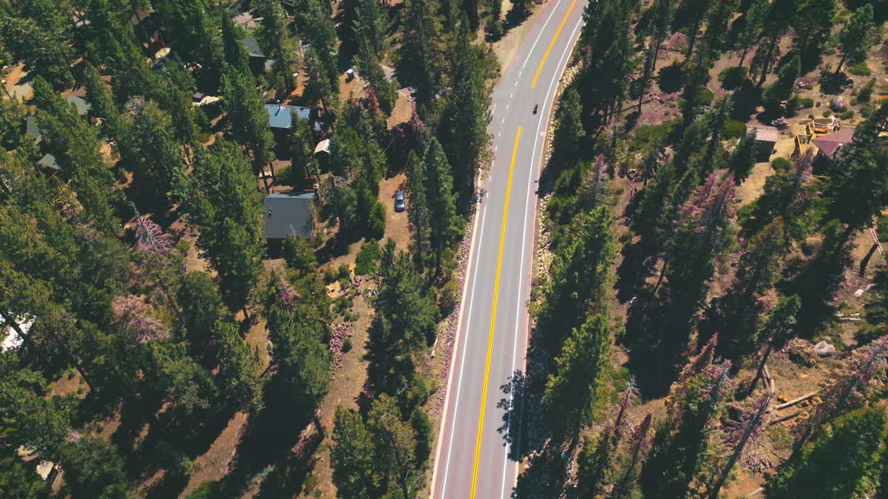 Private houses located in the pine tree wood. Drone descending over the highway passing through the forest on sunny day.