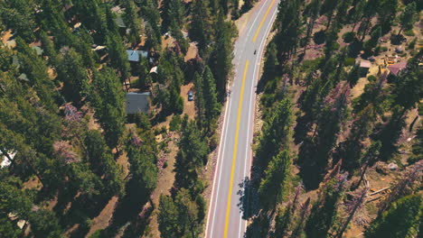 private houses located in the pine tree wood. drone descending over the highway passing through the forest on sunny day.